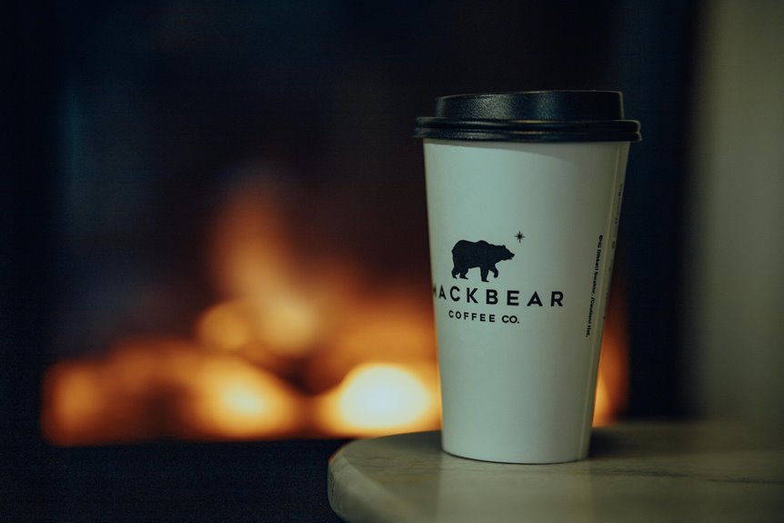 top 10 fireplace brands compared